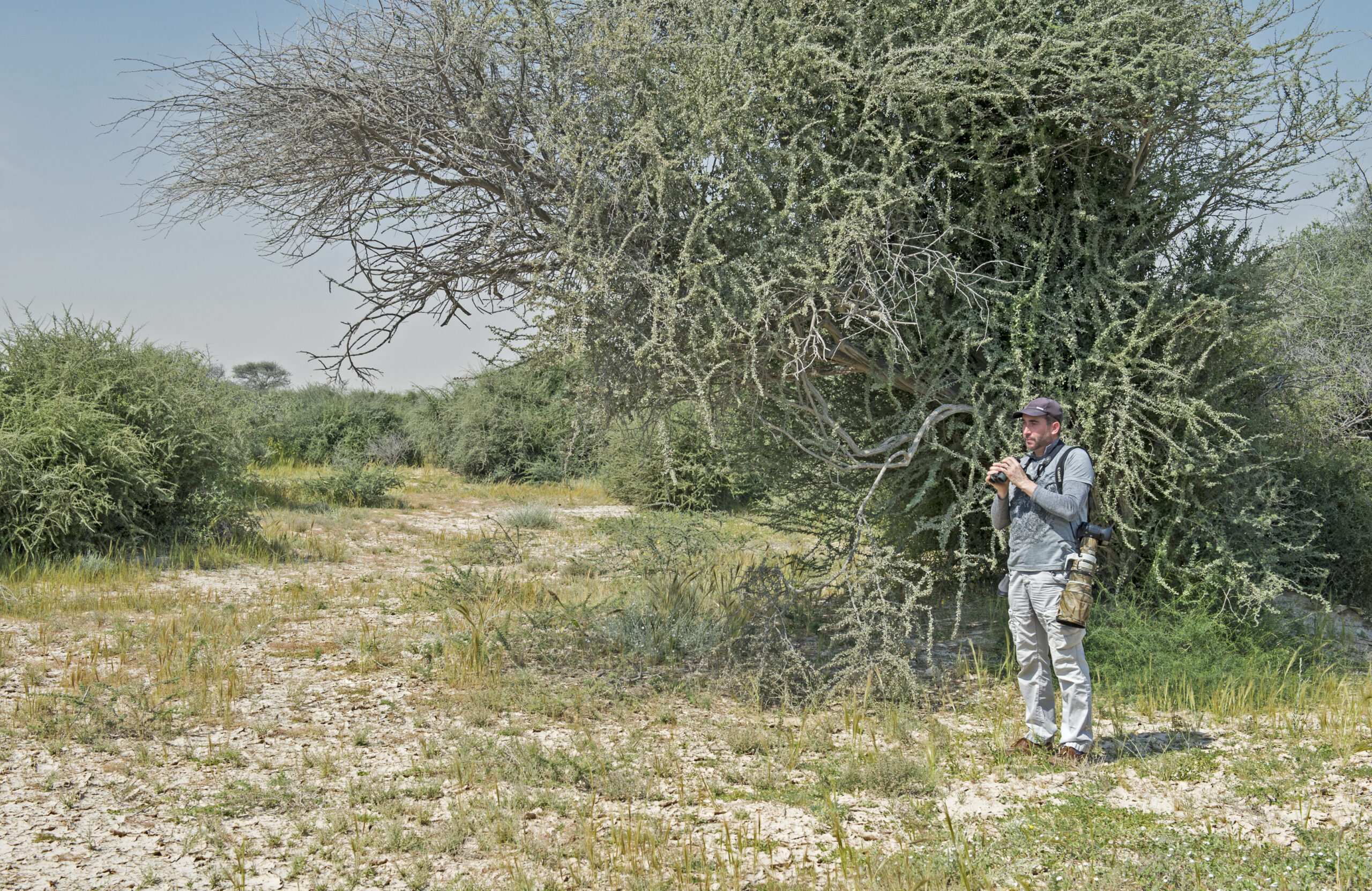 NGM in Qatar. March 2016 © Neil G. Morris
